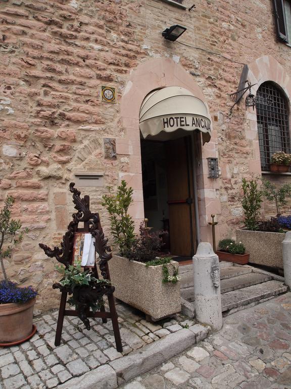 Albergo Ancajani Assisi Eksteriør billede